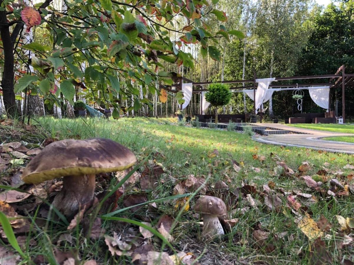 Gosciniec Pod Lasem Grabowce Dolne Eksteriør bilde